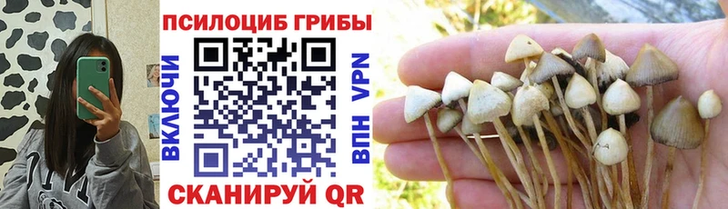 KRAKEN tor  Николаевск-на-Амуре  Галлюциногенные грибы MAGIC MUSHROOMS  закладка 